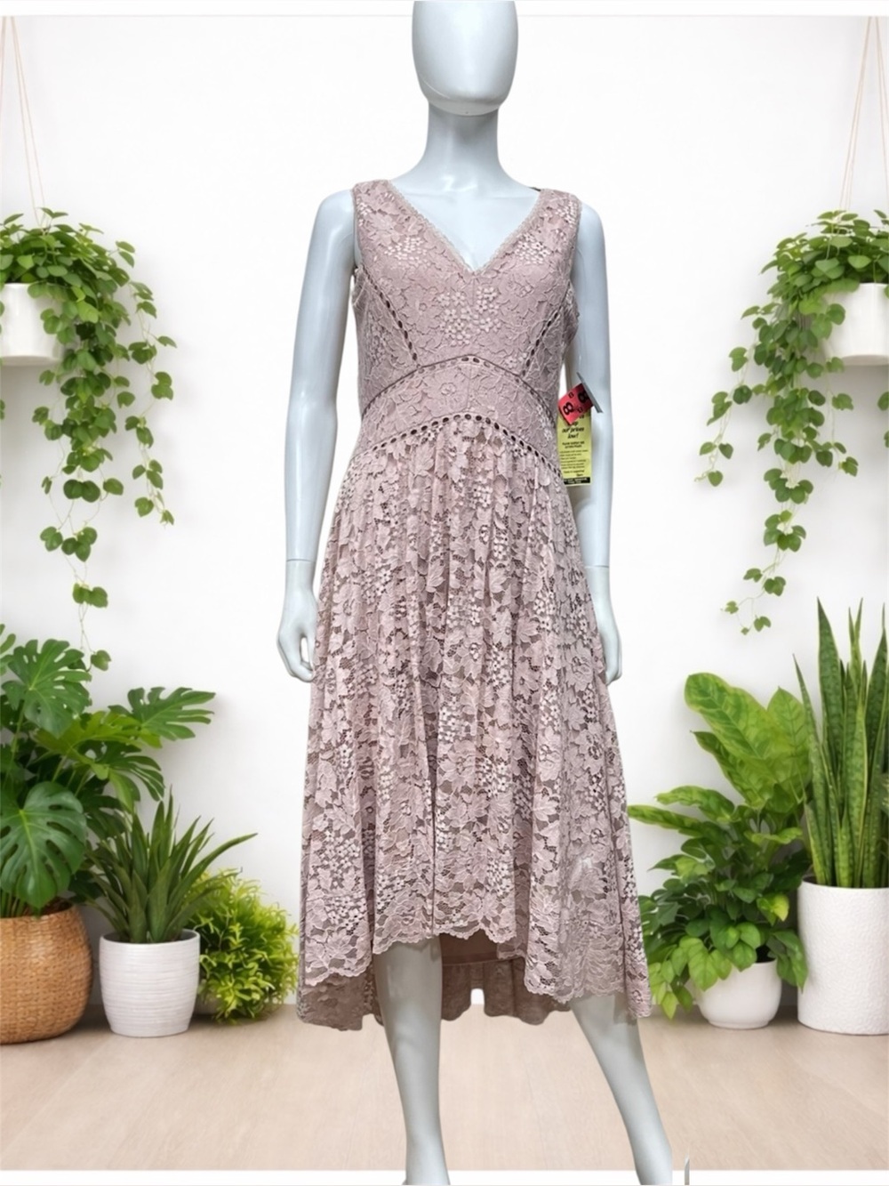 Gabby Skye Dusky Rose Lace Dress NWT